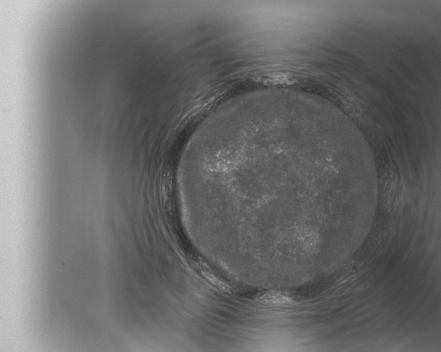 X0000080150747200612302127