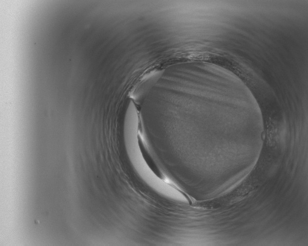 X0000080150748200612302127