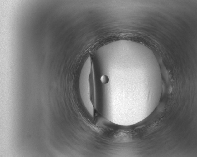 X0000080150750200612302127