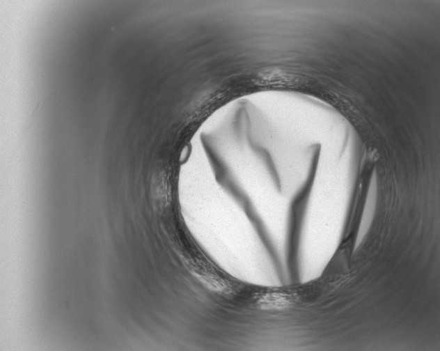 X0000080150751200612302127