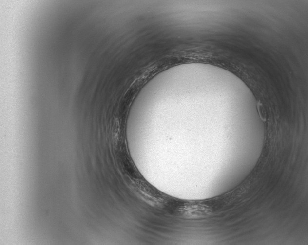 X0000080150752200612302127