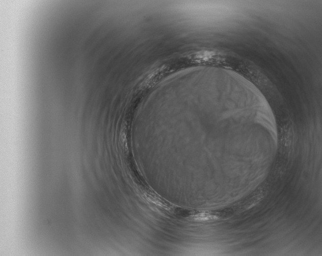 X0000080150754200612302127