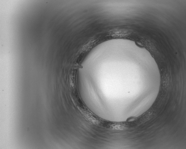 X0000080150755200612302127