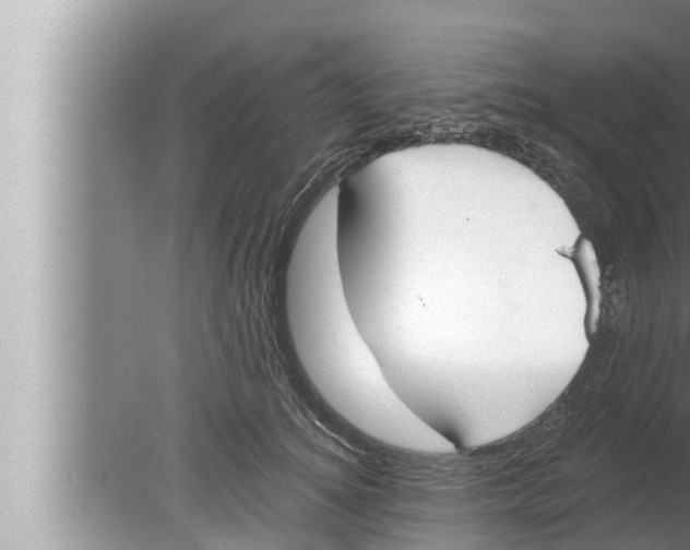 X0000080150756200612302127