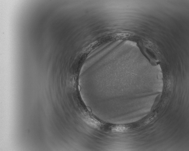 X0000080150759200612302127