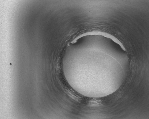 X0000080150760200612302127