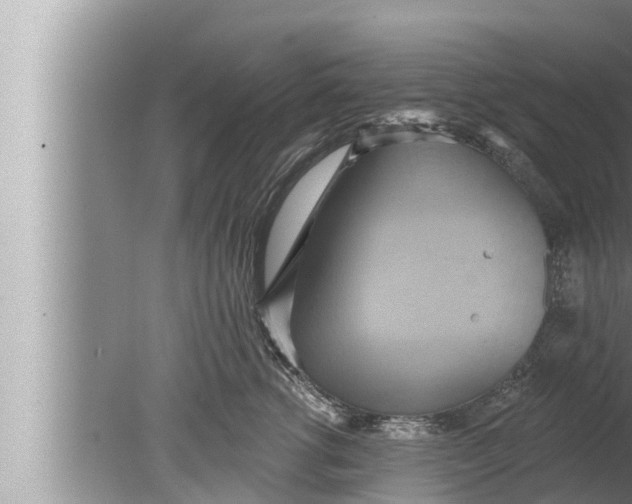 X0000080150762200612302127