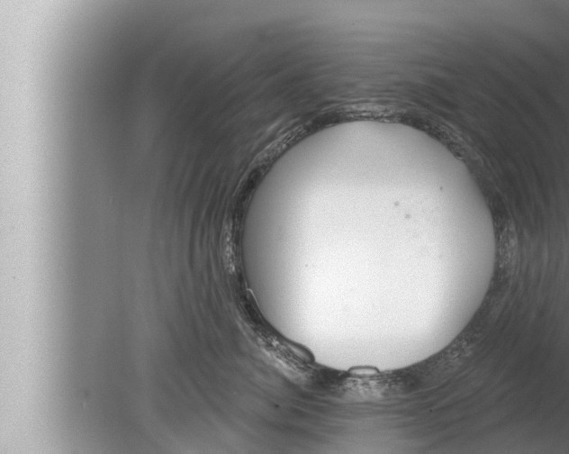 X0000080150764200612302127