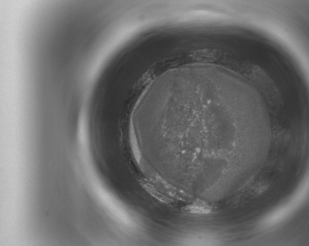 X0000080150765200612302127