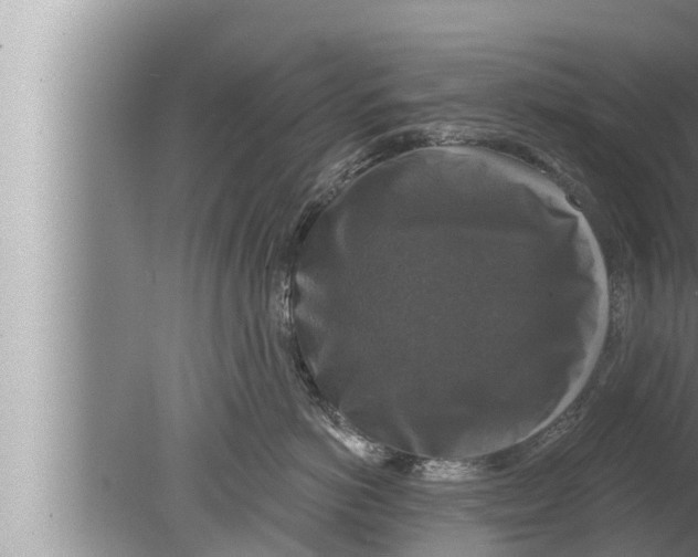 X0000080150766200612302127