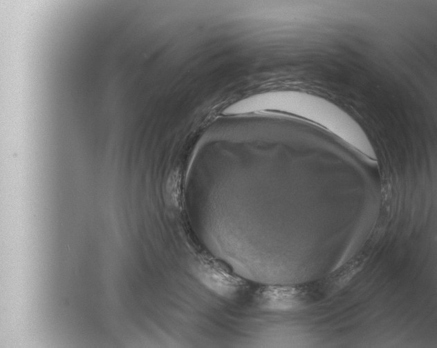 X0000080150767200612302127