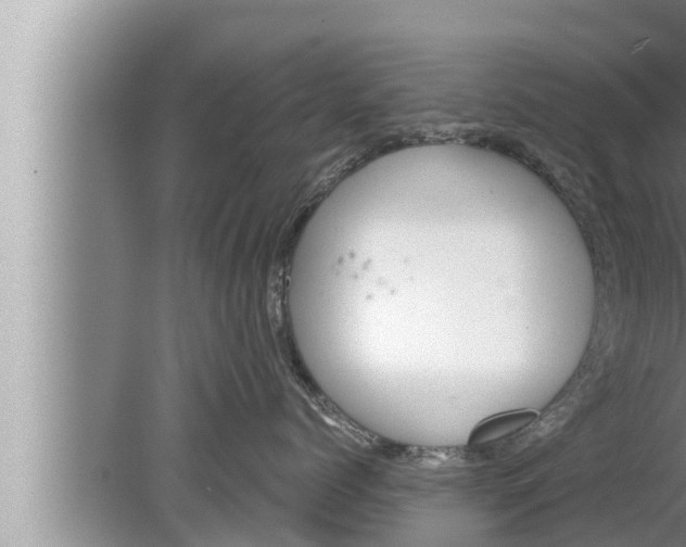 X0000080150768200612302127