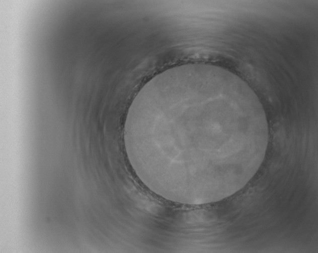 X0000080150769200612302127