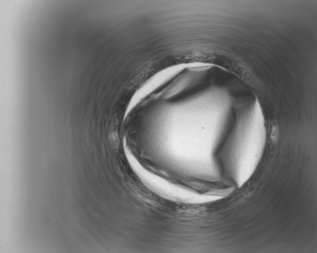 X0000080150771200612302127