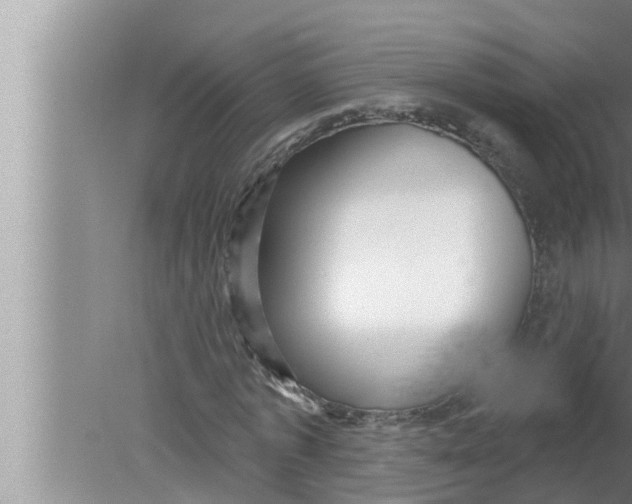 X0000080150773200612302127