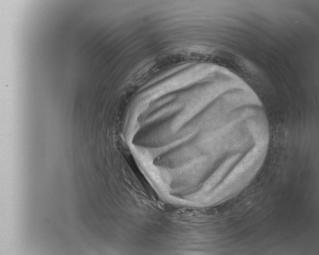 X0000080150774200612302127