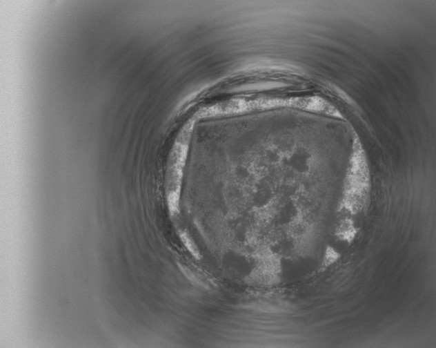 X0000080150775200612302127