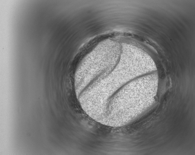 X0000080150776200612302127