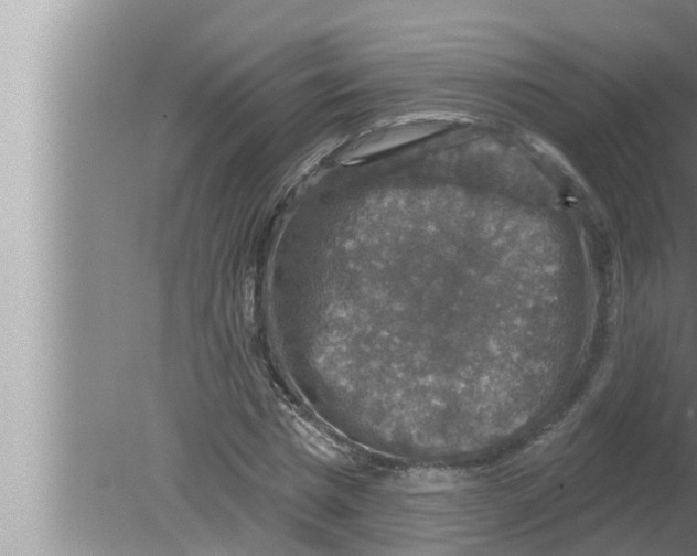 X0000080150777200612302126