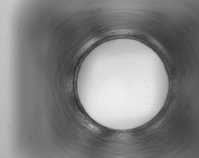 X0000080150778200612302126