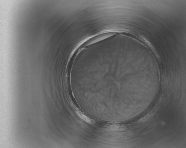 X0000080150779200612302126