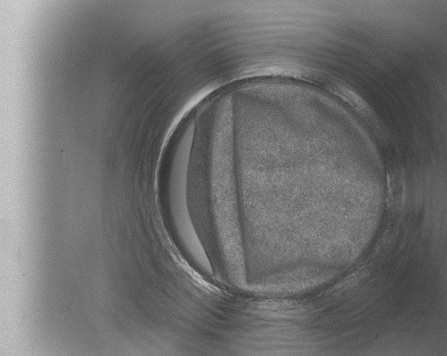 X0000080150780200612302126