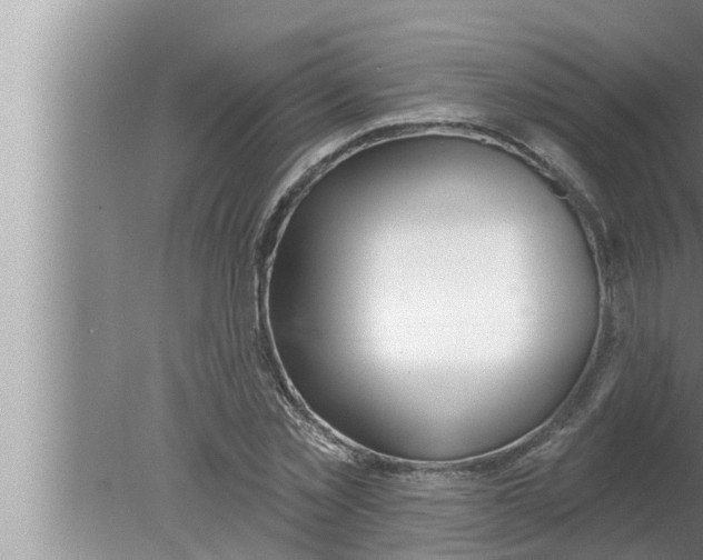 X0000080150781200612302126