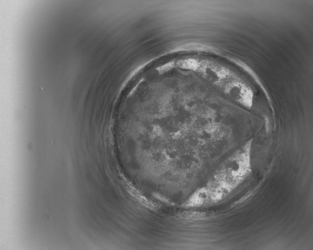 X0000080150783200612302126