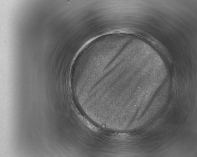 X0000080150784200612302126