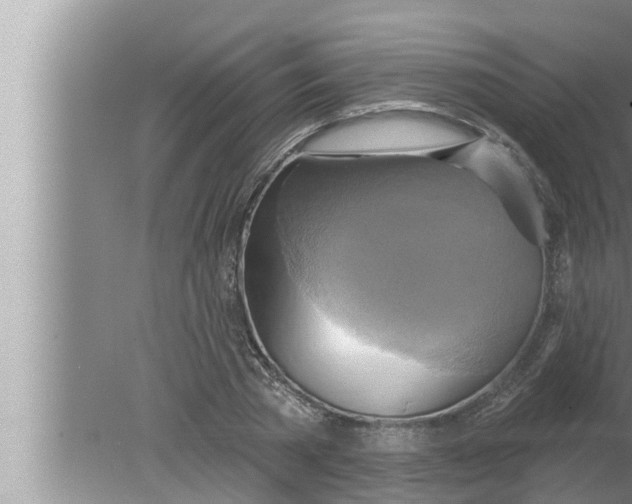 X0000080150785200612302126