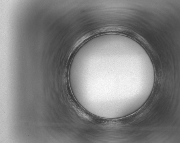 X0000080150786200612302126