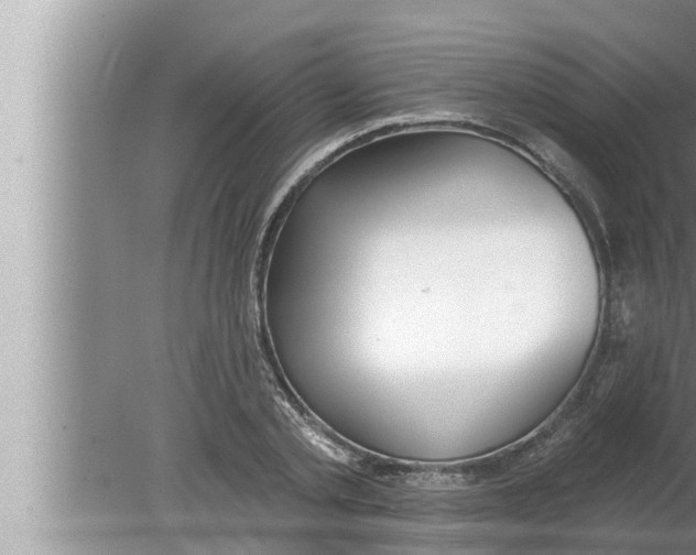 X0000080150789200612302126