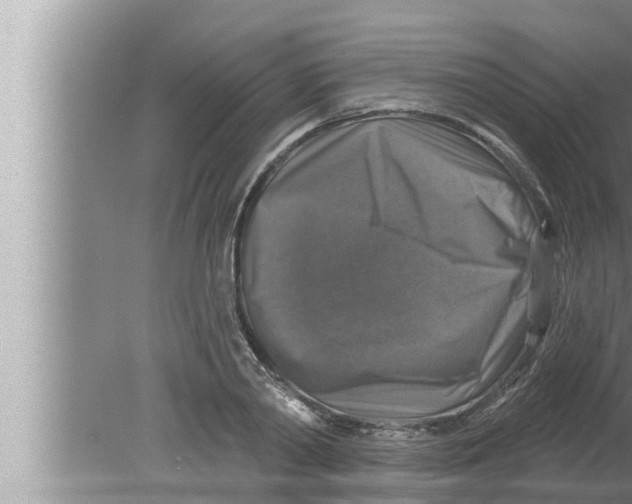 X0000080150790200612302126