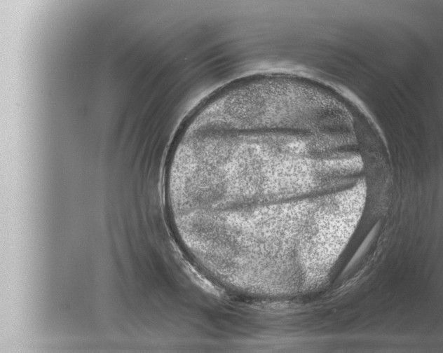 X0000080150791200612302126