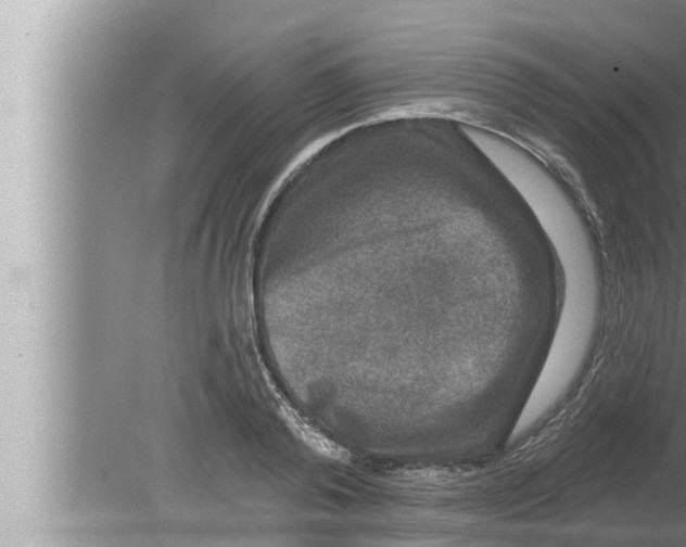 X0000080150792200612302126