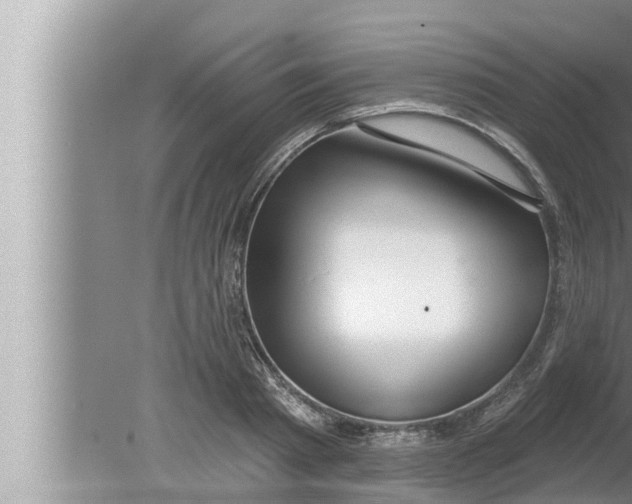 X0000080150793200612302126