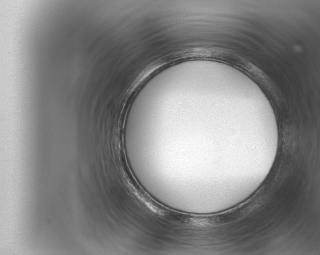 X0000080150794200612302126