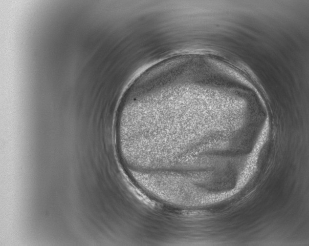 X0000080150795200612302126