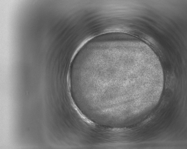 X0000080150796200612302126