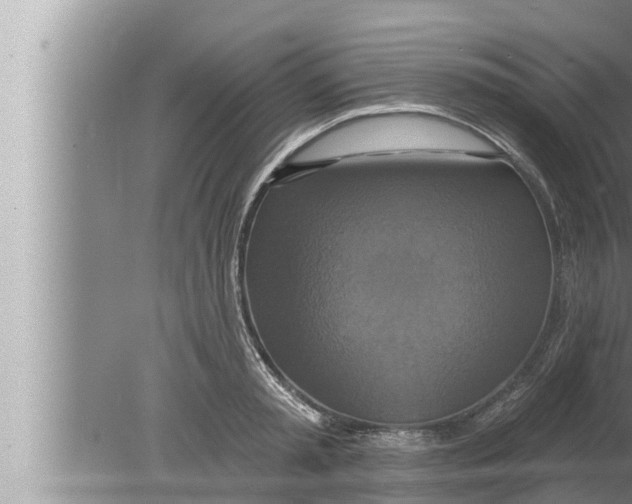 X0000080150797200612302126