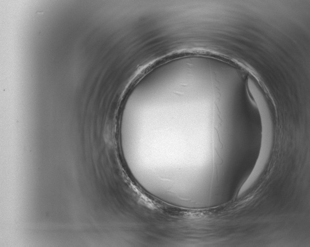 X0000080150799200612302126