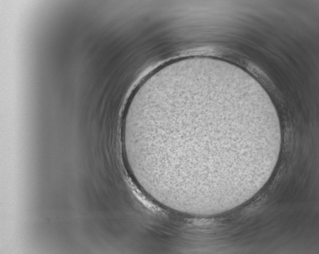 X0000080150800200612302126