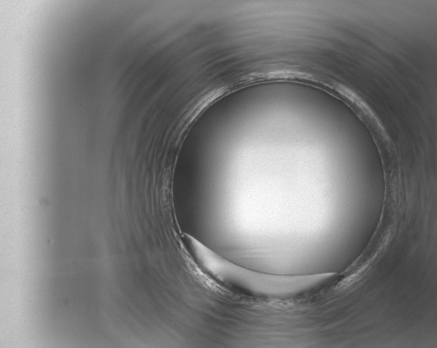 X0000080150801200612302126