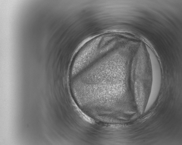 X0000080150803200612302126