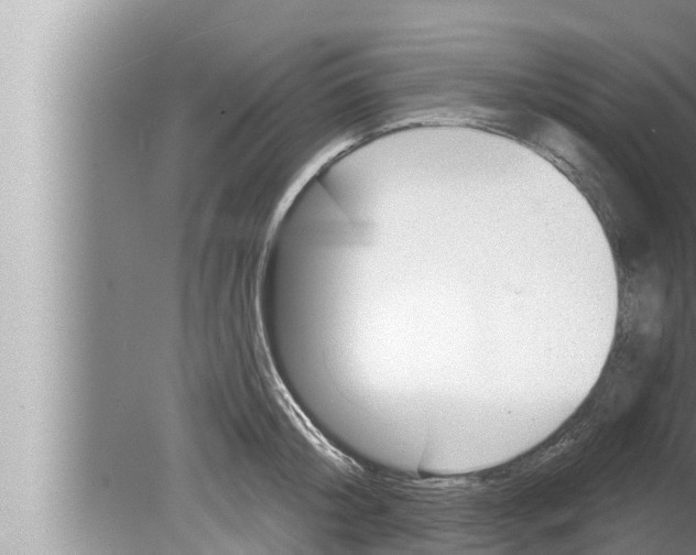 X0000080150804200612302126