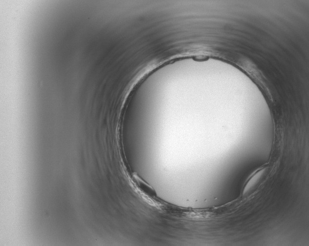 X0000080150805200612302126