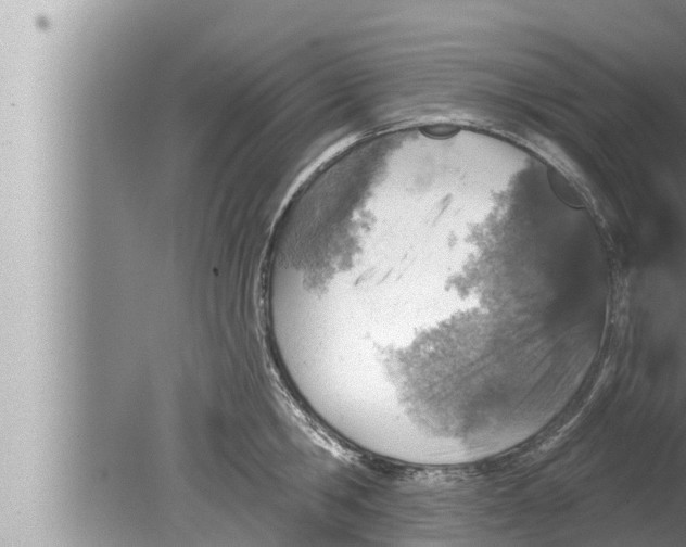 X0000080150806200612302126