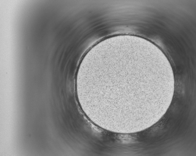 X0000080150807200612302126