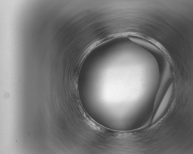 X0000080150809200612302126