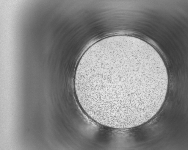 X0000080150810200612302126